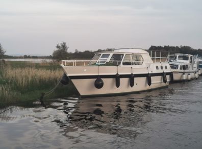 Cruiser