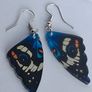 Blue Pansy Butterfly Wing Earrings Image 2