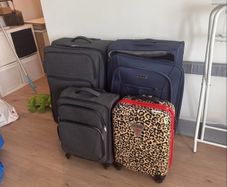 luggage free, read description