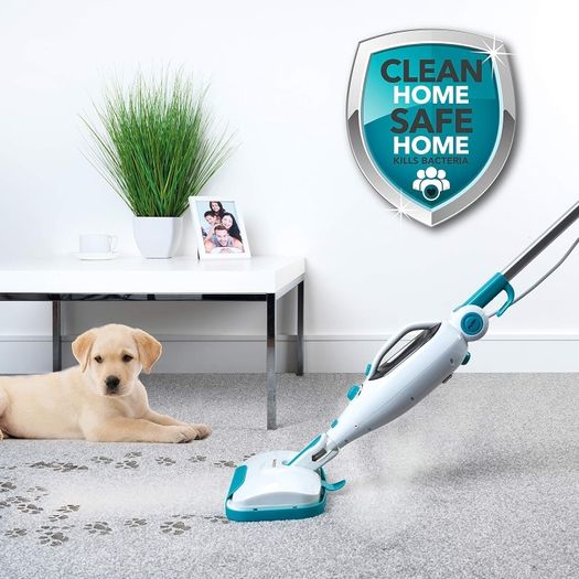 Beldray, 12 in 1 Steam Cleaner