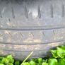 3 tyres 205/55 R16 Image 2