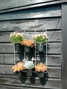 Garden Wall 6 Pot Hanger
