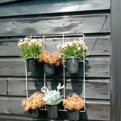 Garden Wall 6 Pot Hanger