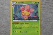 Cherrim Pokemon Sword and Shield Black Star Promo