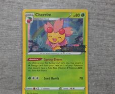 Cherrim Pokemon Sword and Shield Black Star Promo