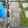 Petrol lawnmowers sold as seen Image 5