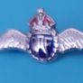 Set Of 3 R.A.F badges Image 4