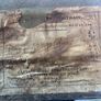 Distressed portrait Image 5