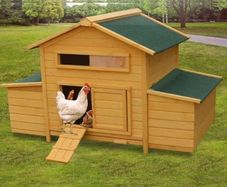 hen house