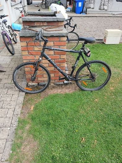 free bikes