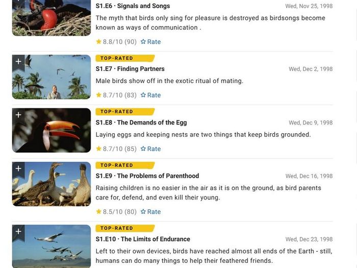 David Attenborough: The Life Of Birds - The Complete Series DVD (2012)