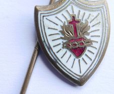 Vintage Irish Collectable Enamel Stick Pin