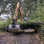 Tree shear saw head and mulcher hire Image 6