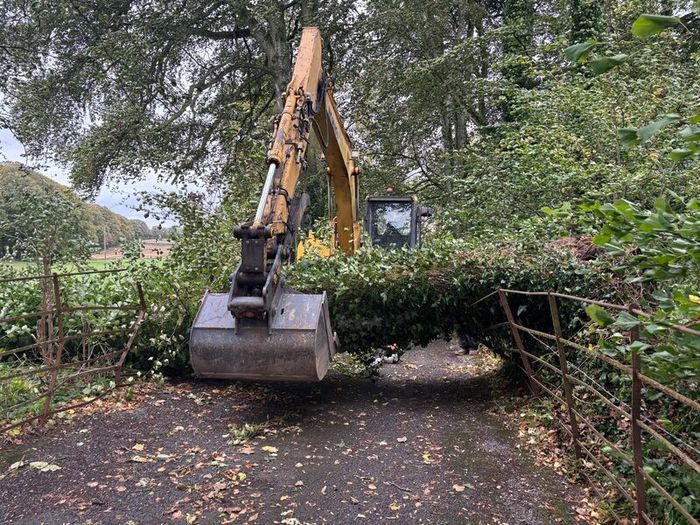 Tree shear saw head and mulcher hire