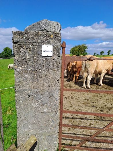 Paddock Numbers & Custom Field Name Signs