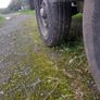 Trailor Image 5