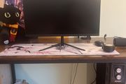 Monitor