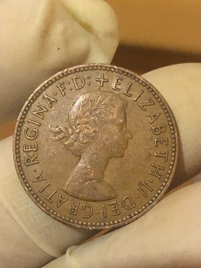Elizabeth Halfpenny  x28 Pictures of each coin
