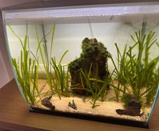 Fluval Flex 57L