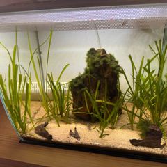 Fluval Flex 57L