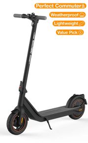 Electric scooter inMotion Pro