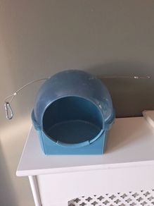 Budgie bath