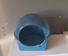 Budgie bath