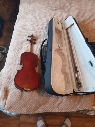 violin