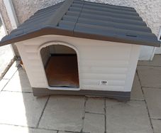 Dog House