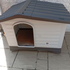Dog House