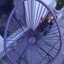 Purple Garden Chair Image 2
