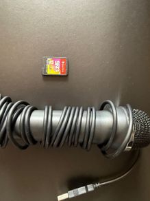 nintendo sing and Mic