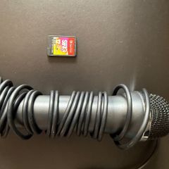 nintendo sing and Mic