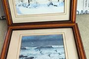 Set of 2 framed prints by Julian Friers is a renowned Irish wildlife painter