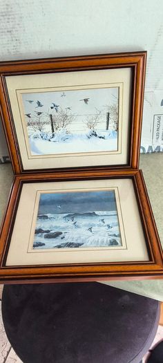 Set of 2 framed prints by Julian Friers is a renowned Irish wildlife painter