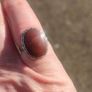 Mid Century Large Oval Cabochon Agate Sterling Silver Ring Image 8