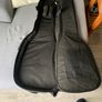 Jack & Danny Electric guitar with case Image 7