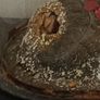 Taxidermy Bird Diorama Image 7