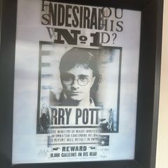 Harry Potter Wall Art Bundle Framed Posters & Display