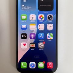 iPhone IPhone 13 Pro Max