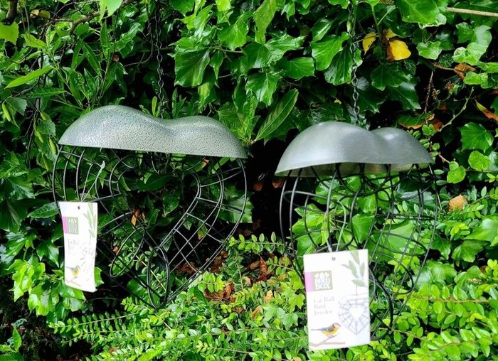 Bird feeder - brand new