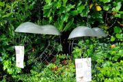 Bird feeder - brand new