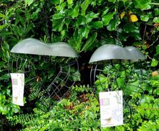 Bird feeder - brand new