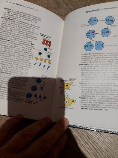Longman Illustrated Science Dictionary