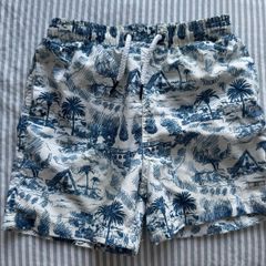 Zippy Kids Swim shorts