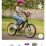 20 inch Milan bike Image 3