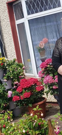 garden plants