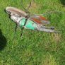 Angle  Grinder Image 3
