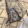 dog crate cage large with cover and matting Image 3