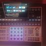MPC XL 6 weeks old Image 2